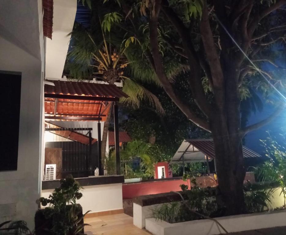 Zahrada ubytování Casa de Julio