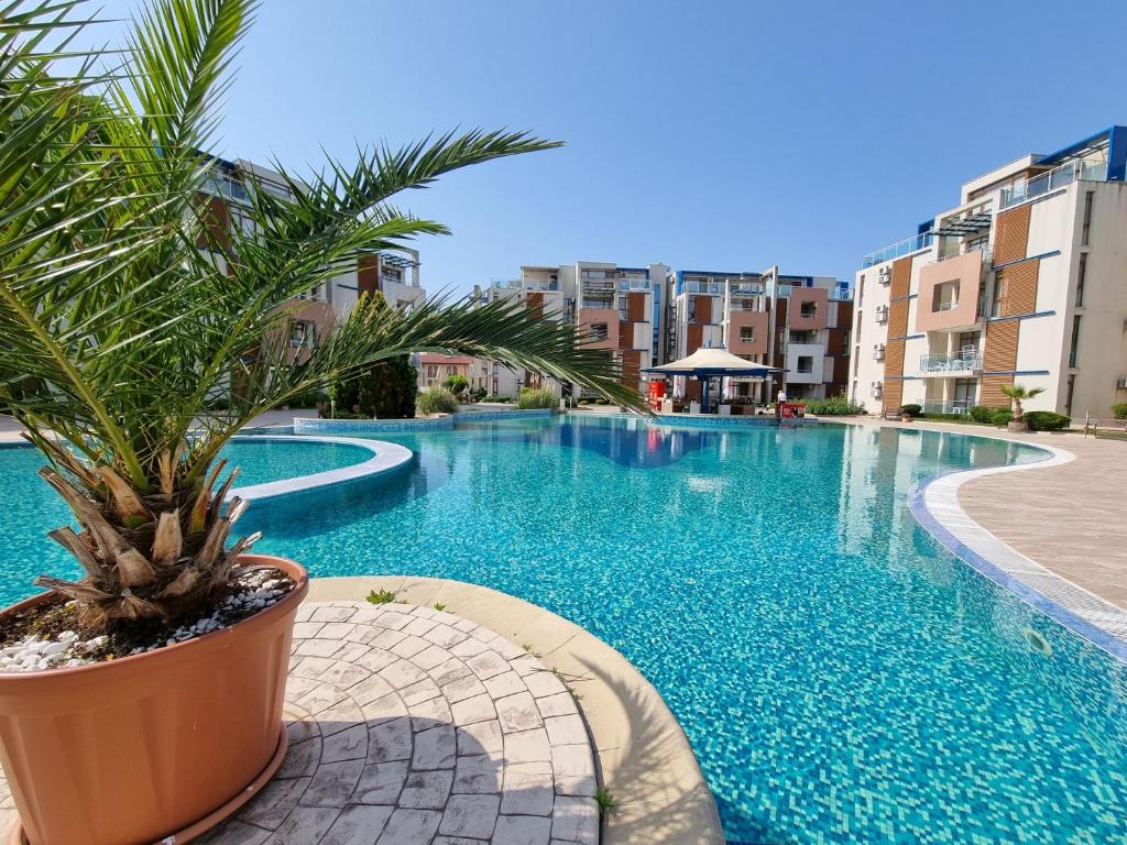 a large swimming pool with a palm tree next to some buildings at Studio Apartment with balcony 300m from beach in Sunny Beach