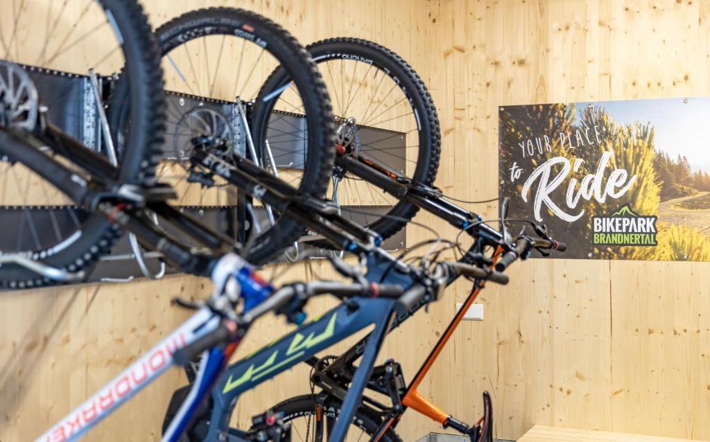 Jízda na kole v ubytování Haus Amatschon nebo okolí