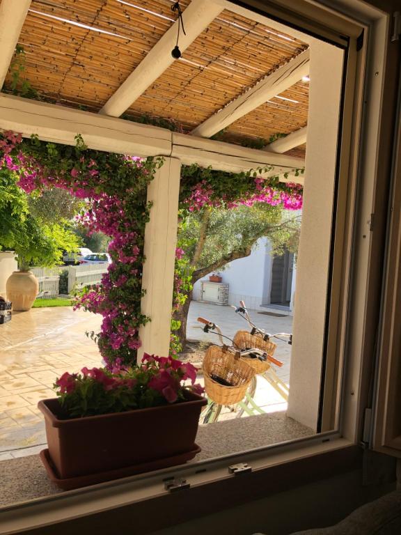 Ogród w obiekcie Domus Deiana Case Vacanza