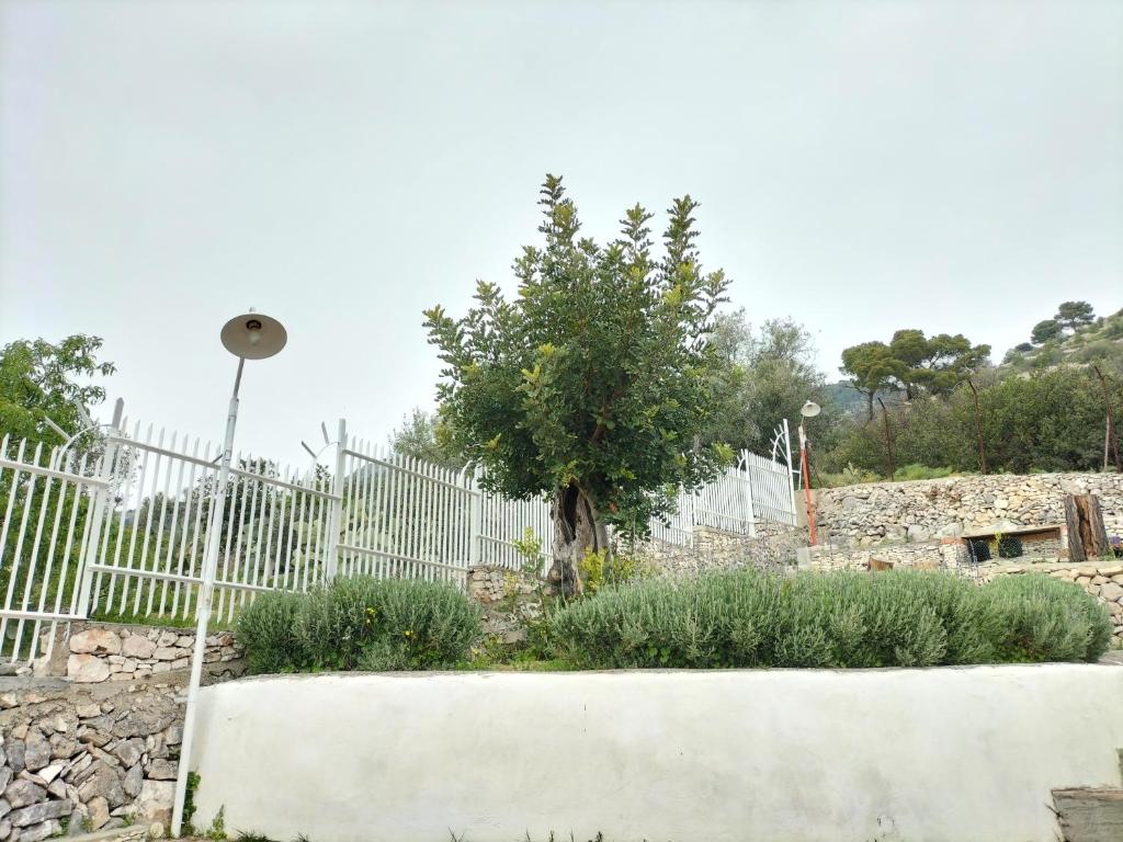 Zdjęcie z galerii obiektu La veranda sul golfo w mieście Monte SantʼAngelo