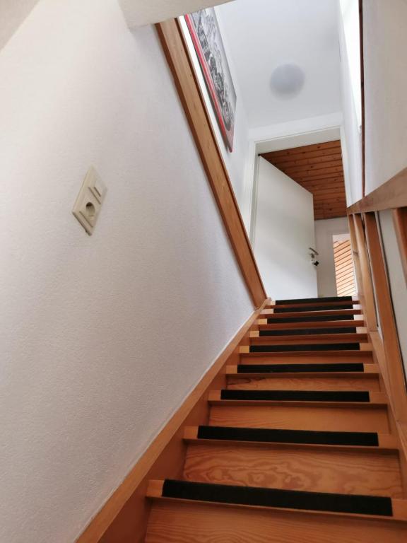La Casa Suciu - 