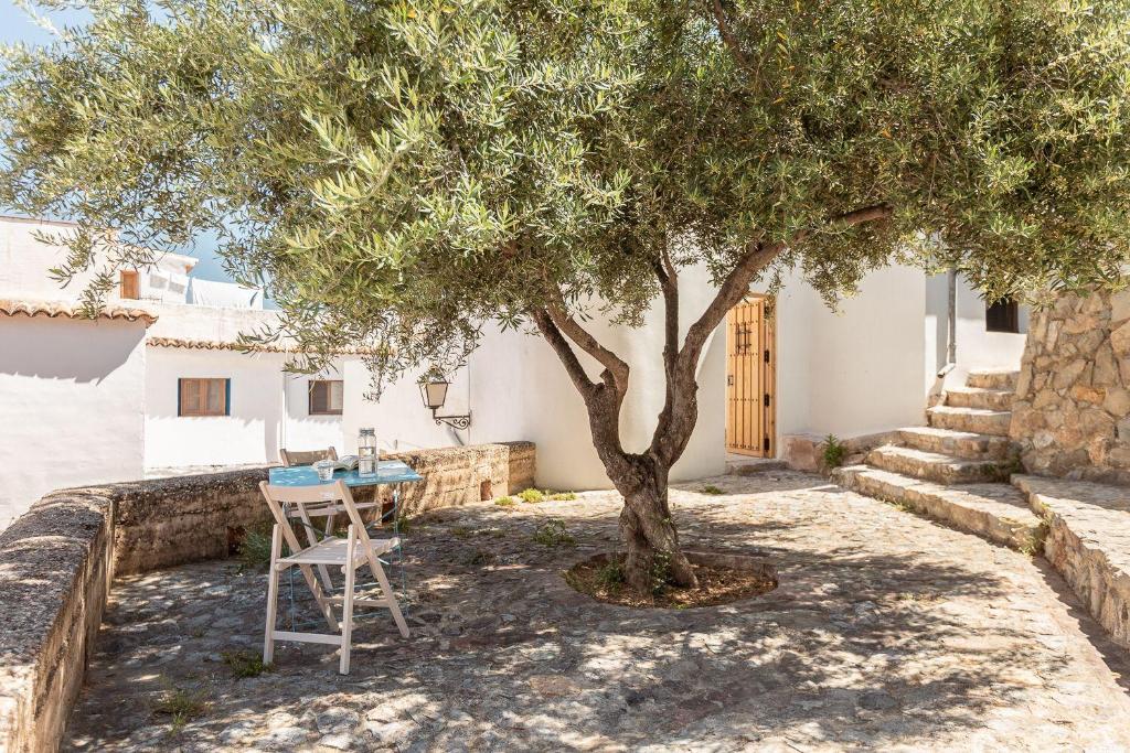 einen Tisch und einen Stuhl unter einem Baum vor einem Haus in der Unterkunft La casa alta in Sagunt