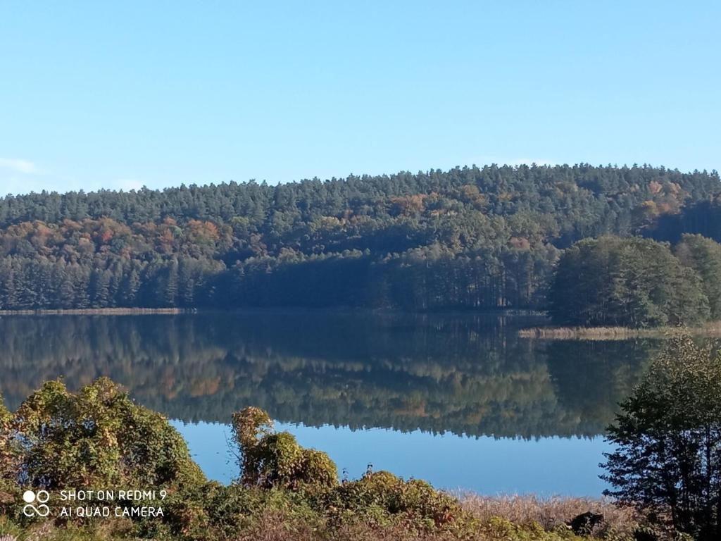 a view of a lake with trees in the background at RELAXX Home in Woryty