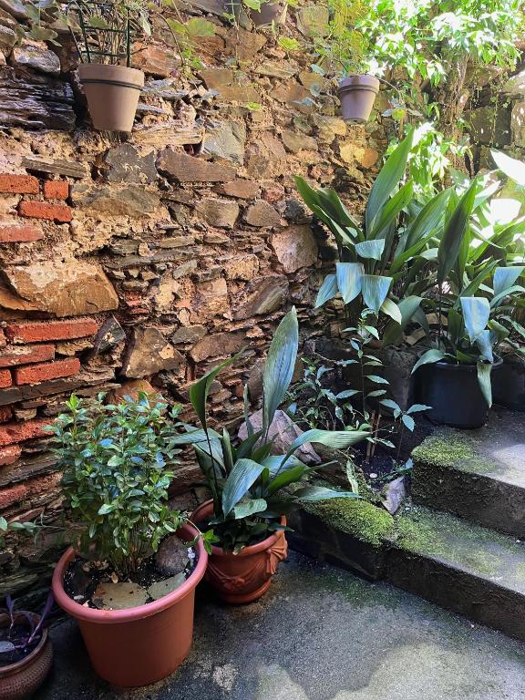 A garden outside Arco del Tinte 10