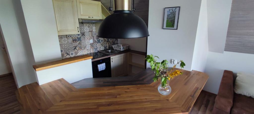 Kuchyňa alebo kuchynka v ubytovaní Apartamenty Mikołajki na Kajki