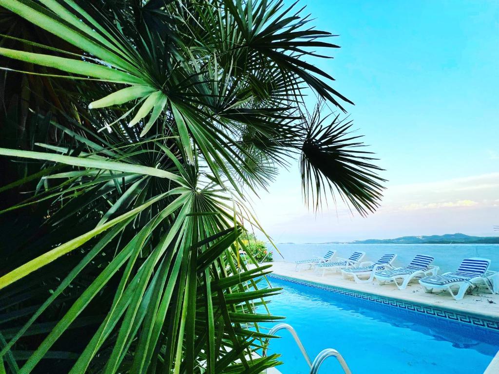 een palmboom naast een zwembad met stoelen bij Villa Mas Blau Mar in Lloret de Mar