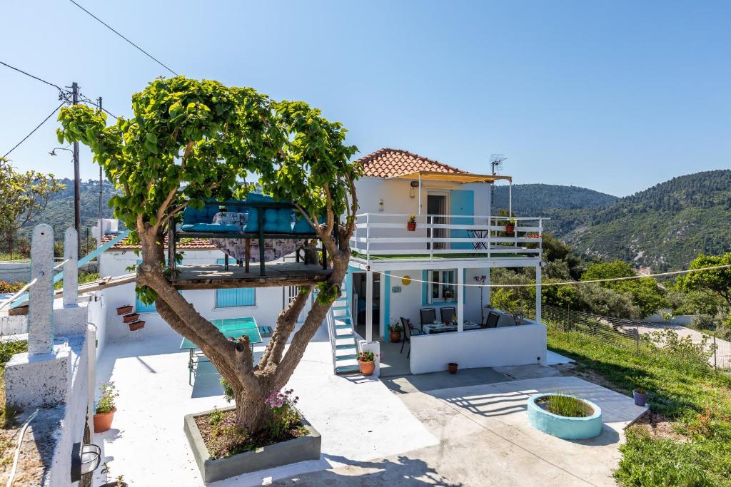 a house with a tree in front of it at Pastalia Cottage in Skopelos Town