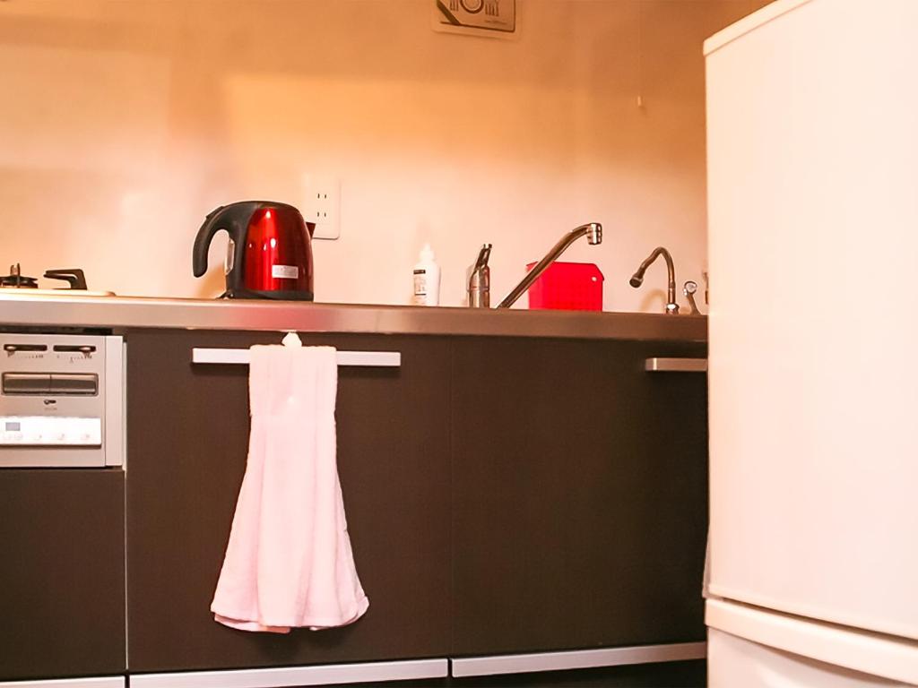 Kuchyň nebo kuchyňský kout v ubytování Oyama Guesthouse Kyoto