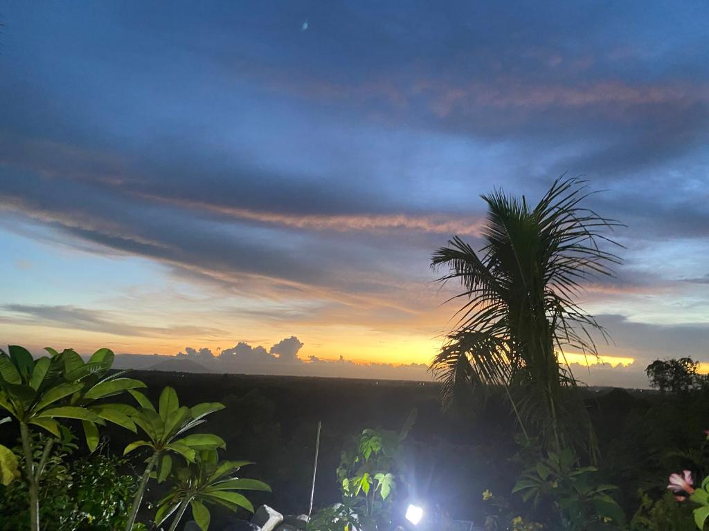 Tropical hideaway on Mango farm overlooking Sierra mountains