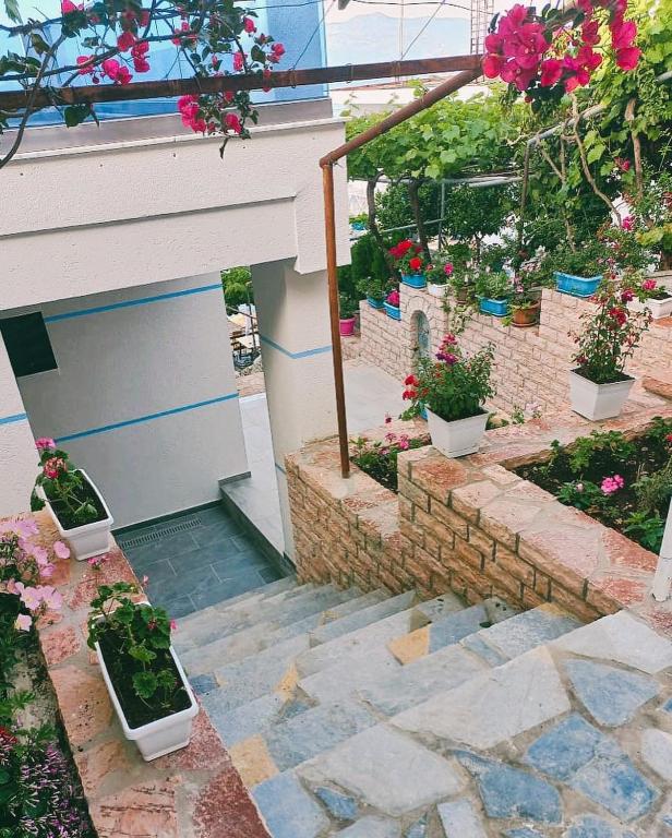 Zahrada ubytování Fabeno Villa