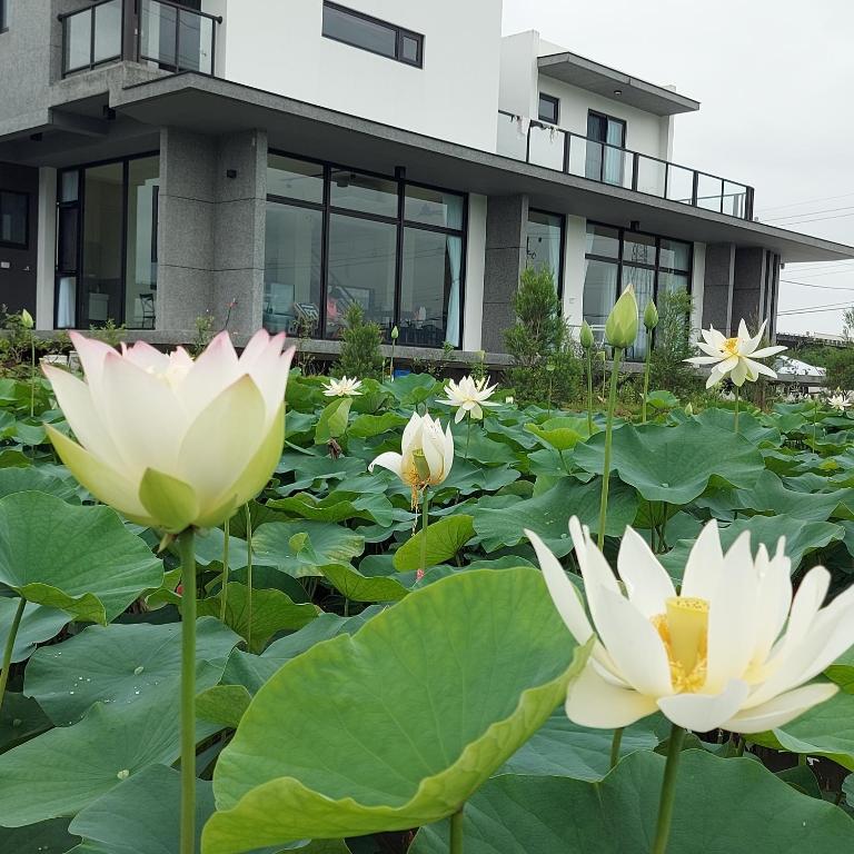 Zahrada ubytování Xian Jing B&B