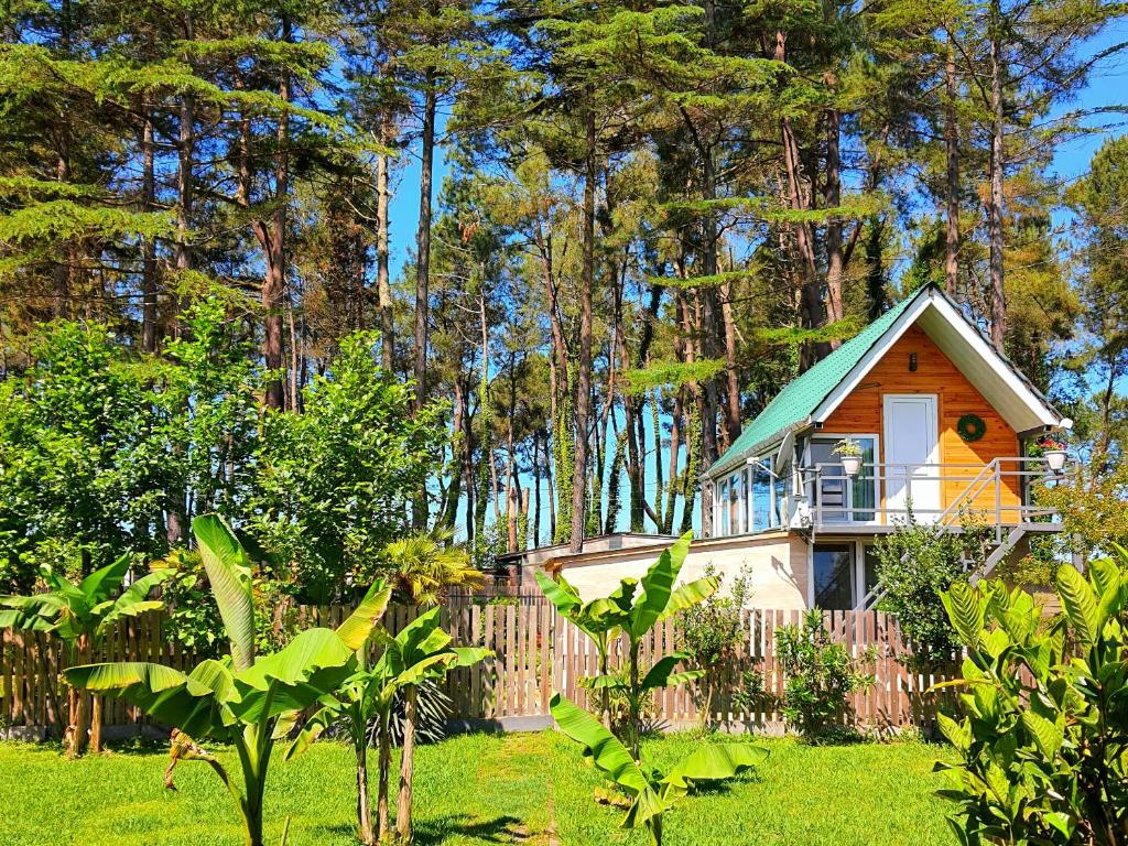 Zahrada ubytování House & Yard Sesil Forest 90m to beach Kaprovani