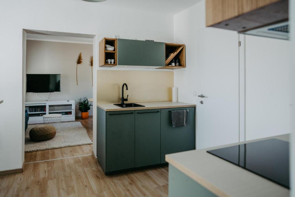 Kuchyň nebo kuchyňský kout v ubytování Haus Mörbisch