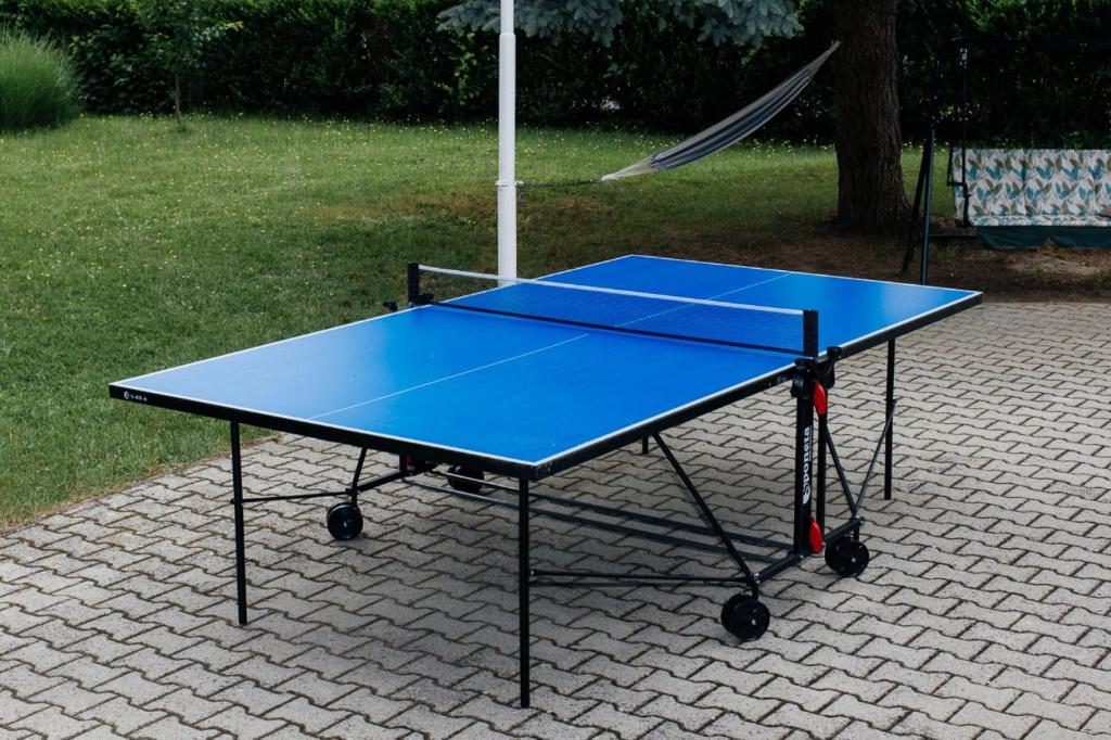 Stolní tenis v ubytování Alle Bed & Breakfast nebo okolí