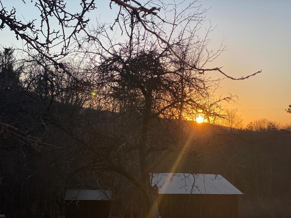 a sunset behind a tree and a barn at La Padurea Mica in Cărbunari