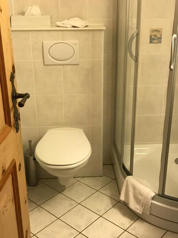 a bathroom with a toilet and a shower at Hotel Klarer in Zuoz