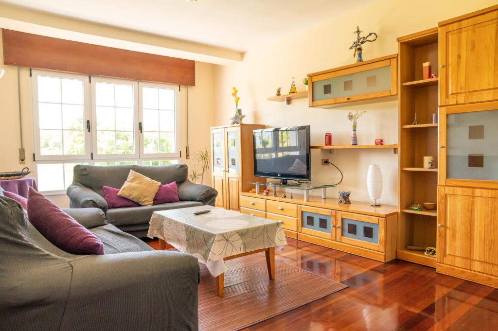 帕拉斯德雷的住宿－Apartamento Ultreia，带沙发和电视的客厅