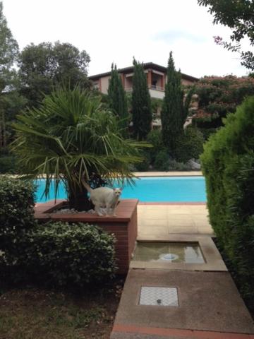 Appartement Toulouse-Tournefeuille Calme et Verdoyant游泳池或附近泳池