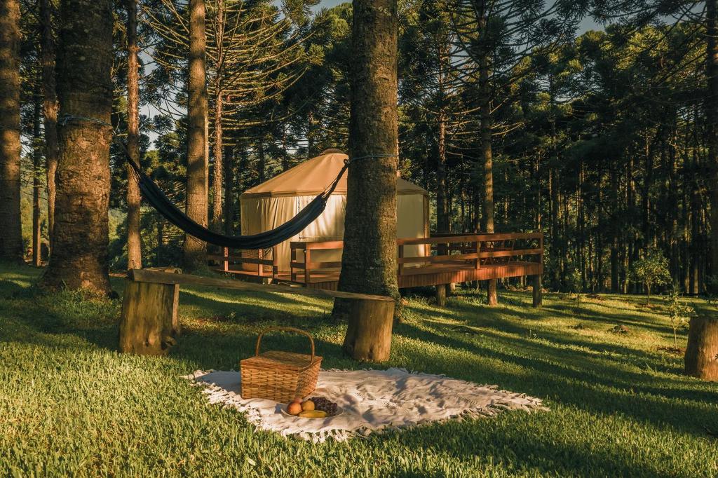 a hammock and a tent in the woods at Estancia Las Araucarias in Canela