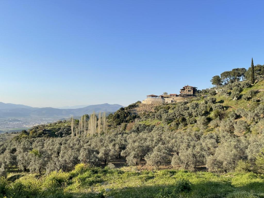 uma casa no topo de uma colina com árvores em EPHESUS RETREAT em Esmirna