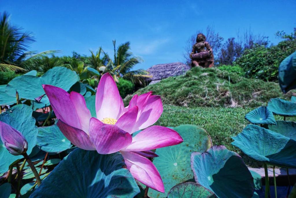 Zahrada ubytování Lotus an Eco Resort Konark