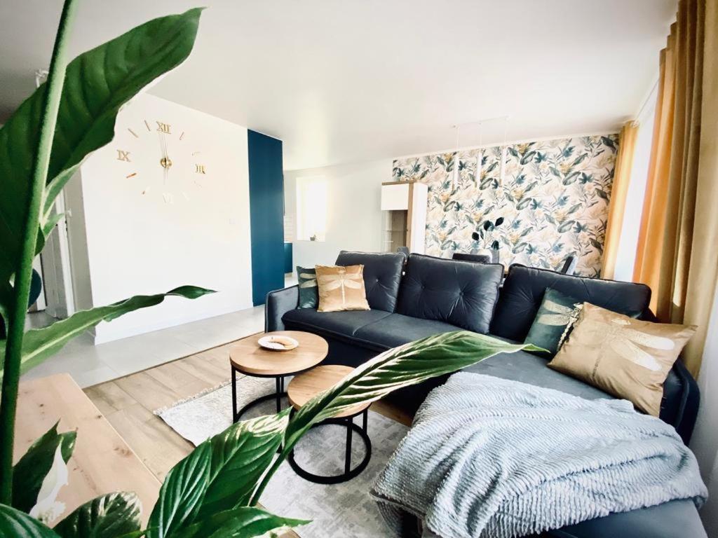 sala de estar con sofá azul y planta en Apartament Króla, en Sandomierz
