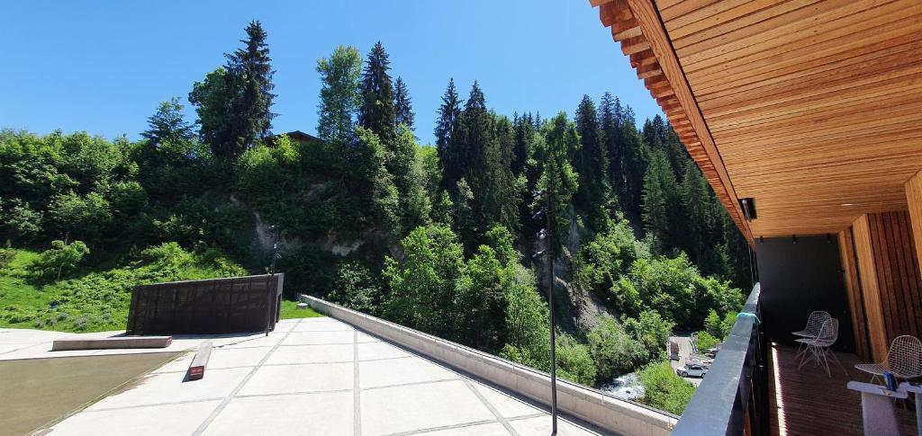 Příroda nedaleko apartmánu