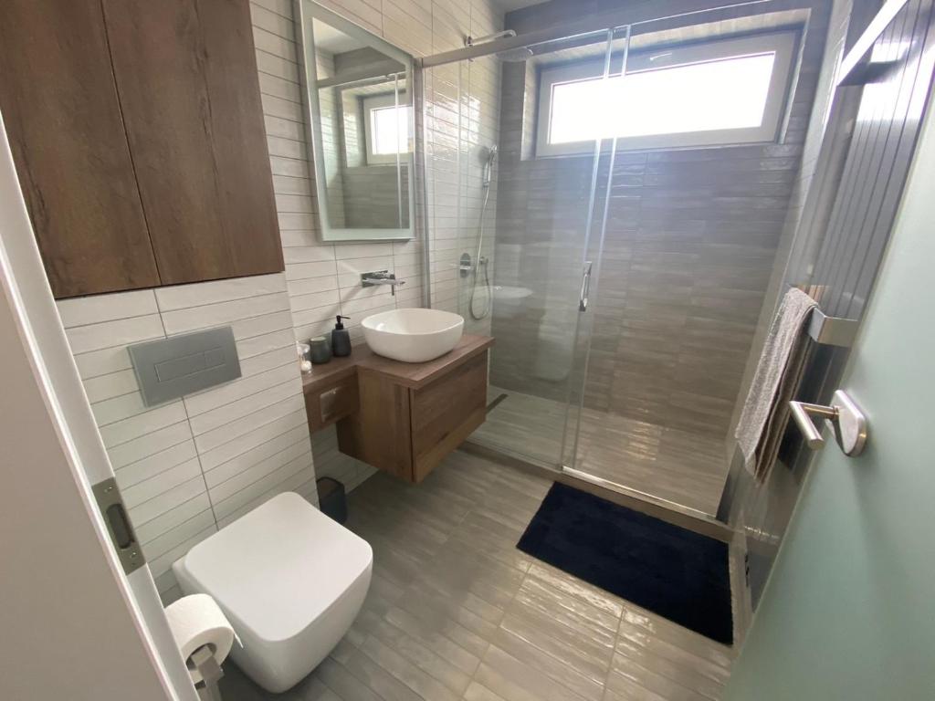 a bathroom with a toilet and a sink and a shower at Apartment Gradus in Dunajská Streda