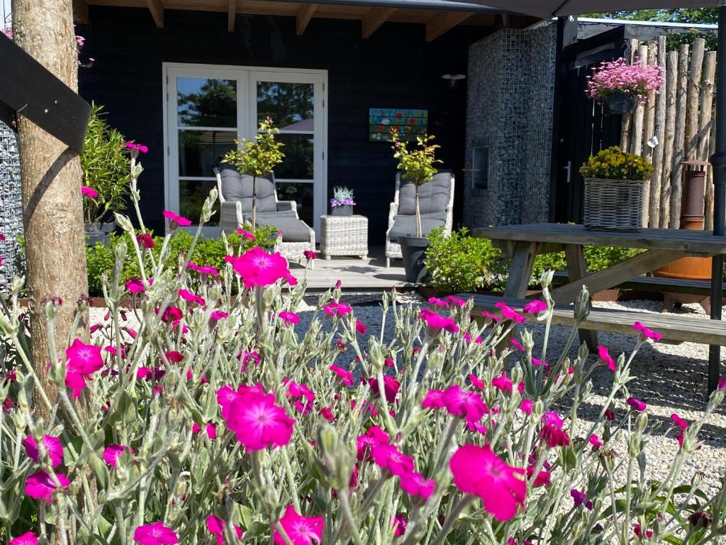 Wellness huisje aan zee - Housity