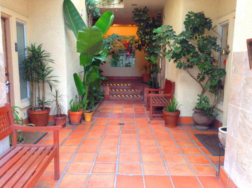 une cour avec des bancs et des plantes dans un bâtiment dans l'établissement Casa Mariquita Hotel by Omeo, à Avalon