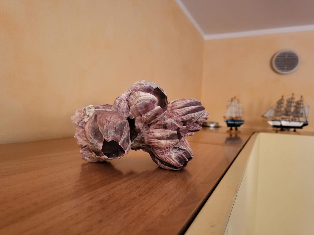 Nápoje v ubytovaní The Shell Apartment