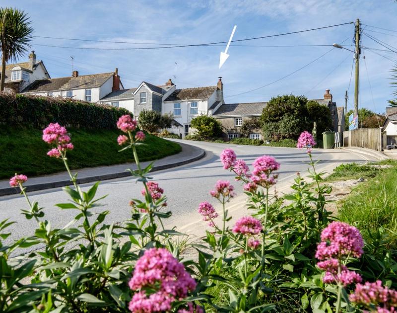 a street with pink flowers on the side of a road at Coppingers Cottage in Polzeath
