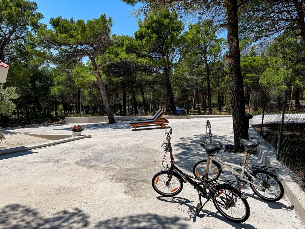 Jazda na bicykli v okolí ubytovania Villa Grammy