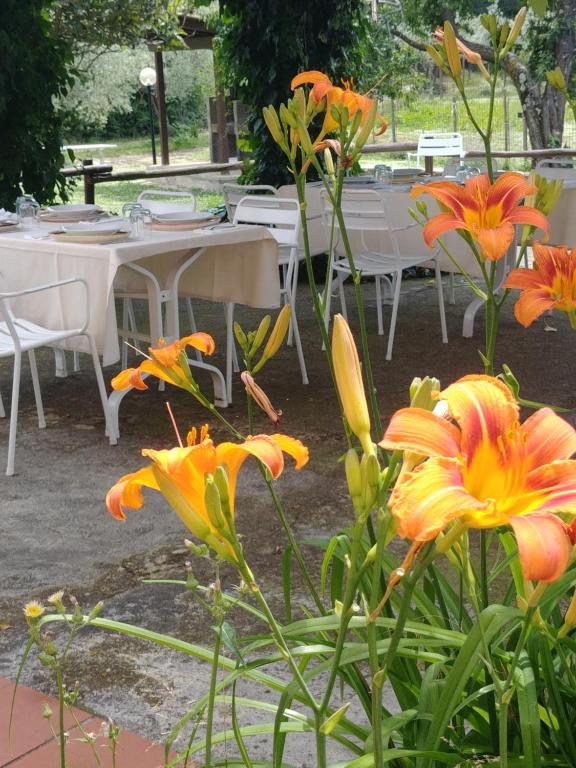 Vonkajšia záhrada v ubytovaní Agriturismo Botro