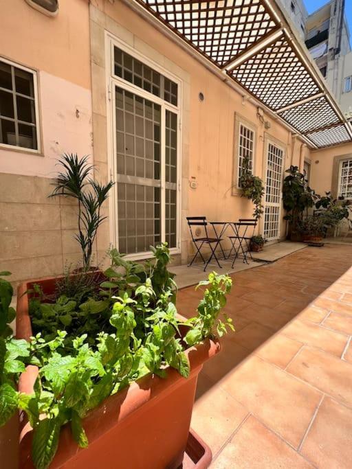 un patio con piante in vaso in un edificio di Interno 2 Il giardino segreto CENTRO a Bari