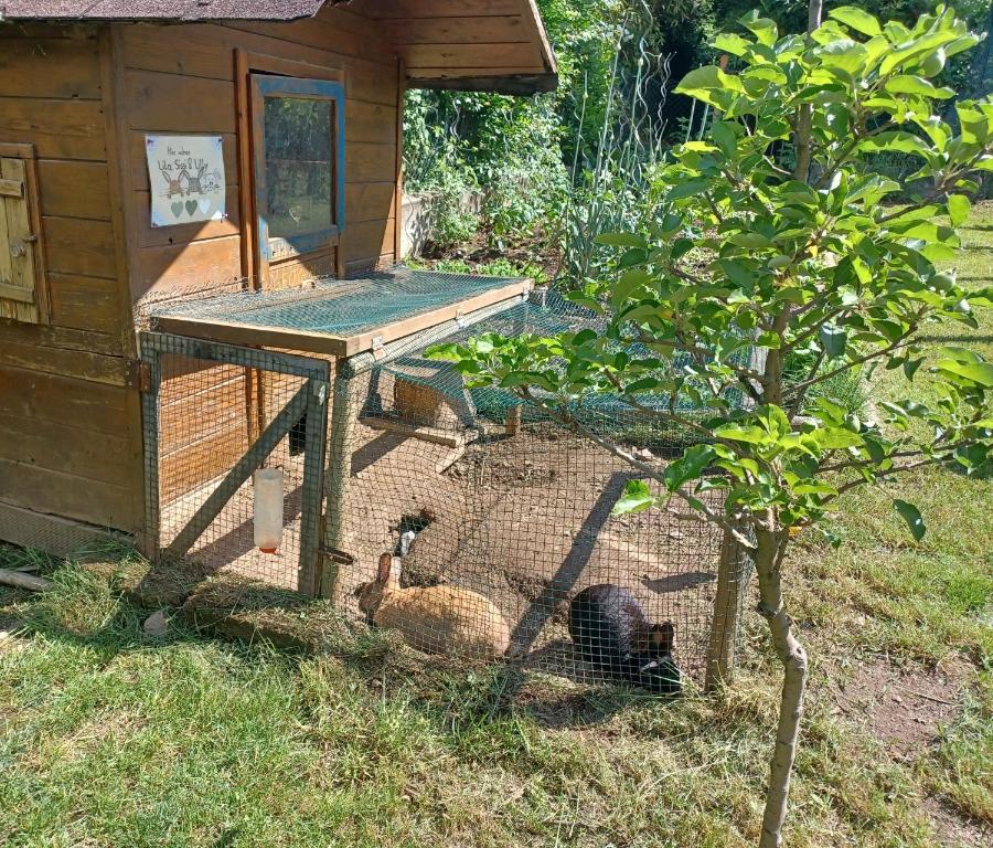 Ogród w obiekcie Das Landhaus