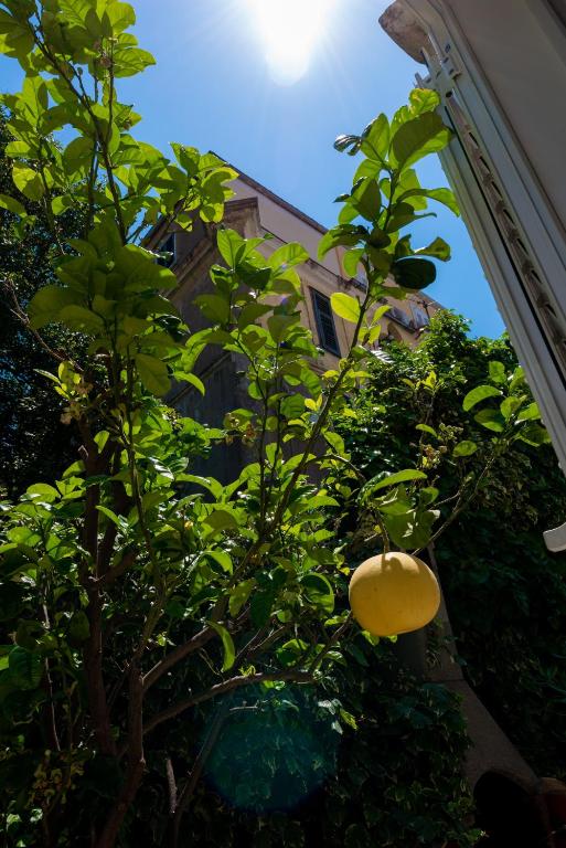 Zahrada ubytování Villa Ida