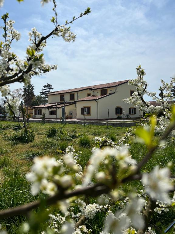 Tenuta Fasanarella