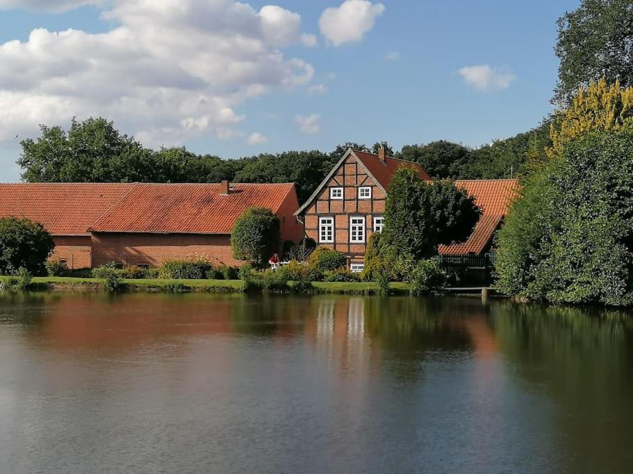 ein Haus neben einem Fluss mit einem Gebäude in der Unterkunft Bruchmühlen in Bruchhausen-Vilsen