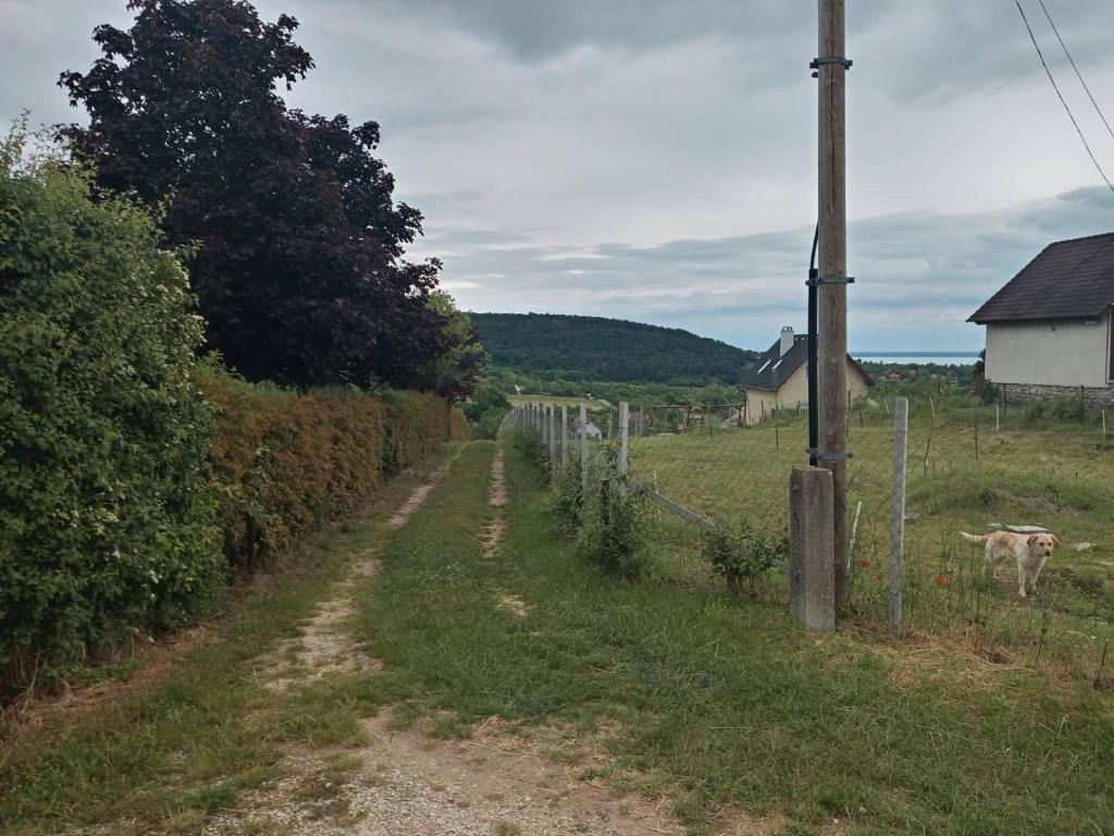 Príroda v okolí dovolenkového domu