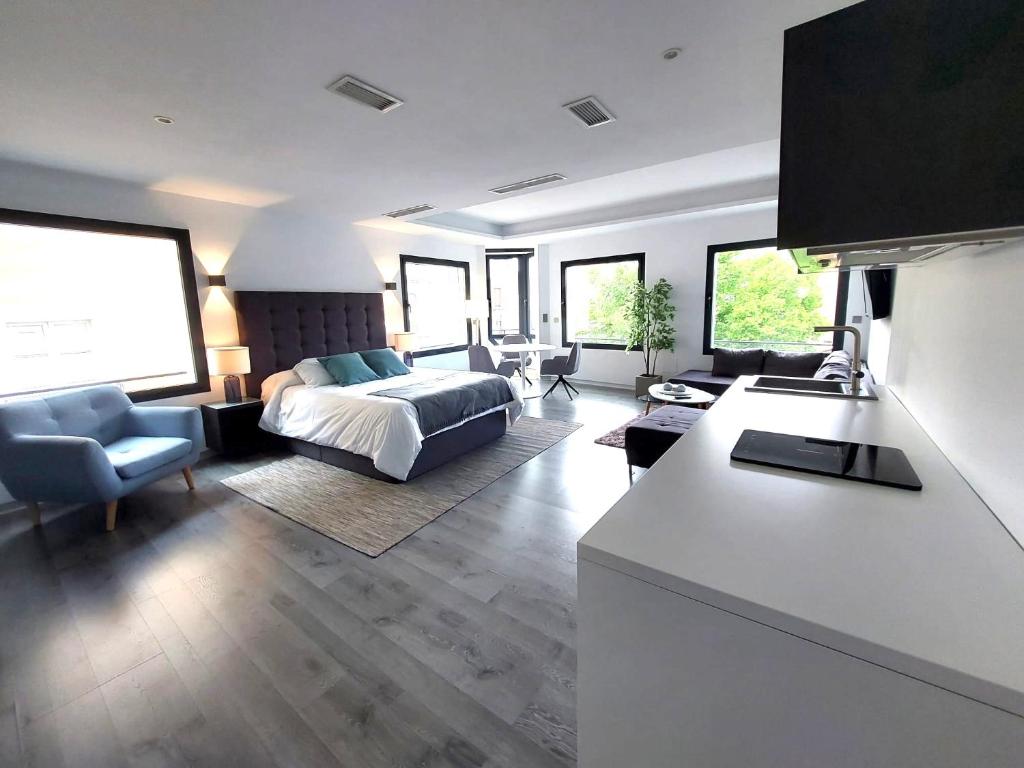 TV a/nebo společenská místnost v ubytování Plasencia Plaza Mayor Luxury