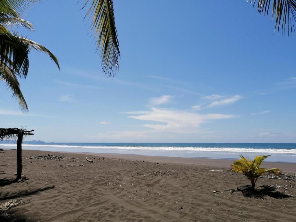 Maison du Bonheur costaricienne sur la plage avec bassin de rafraichissement