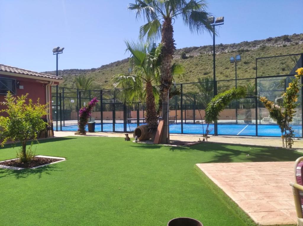 um quintal com piscina e palmeiras em Villa MS em Alicante