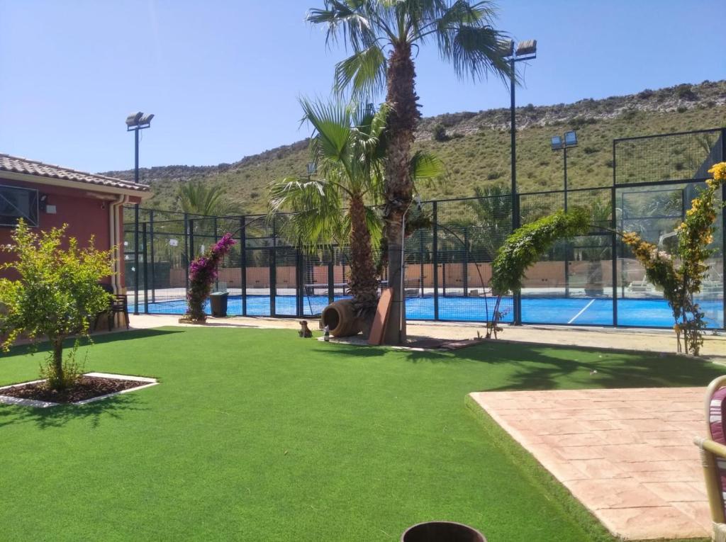 een tuin met een zwembad en palmbomen bij Villa MS in Alicante