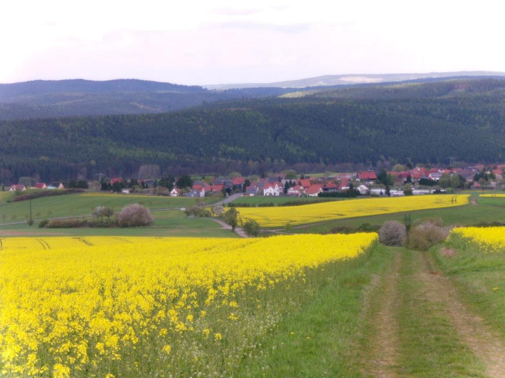 Příroda nedaleko apartmánu
