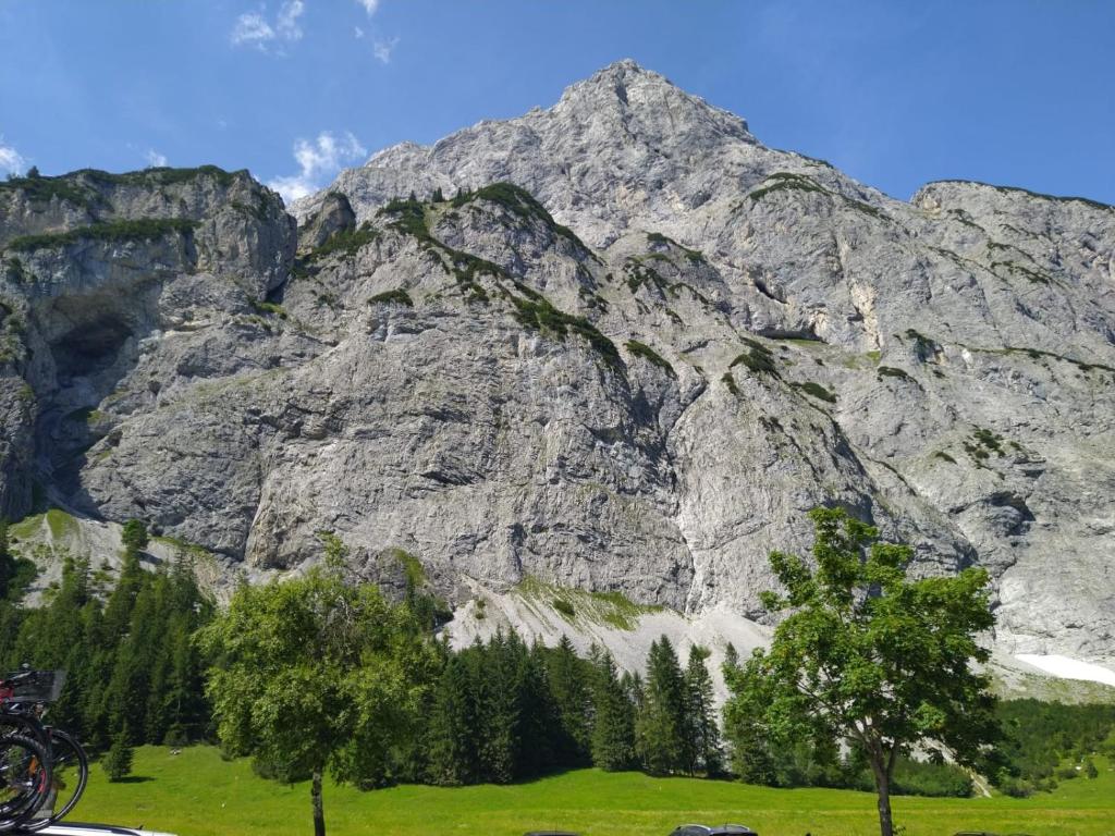Příroda nedaleko apartmánu