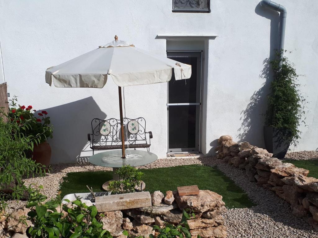 A garden outside Casa de Bello