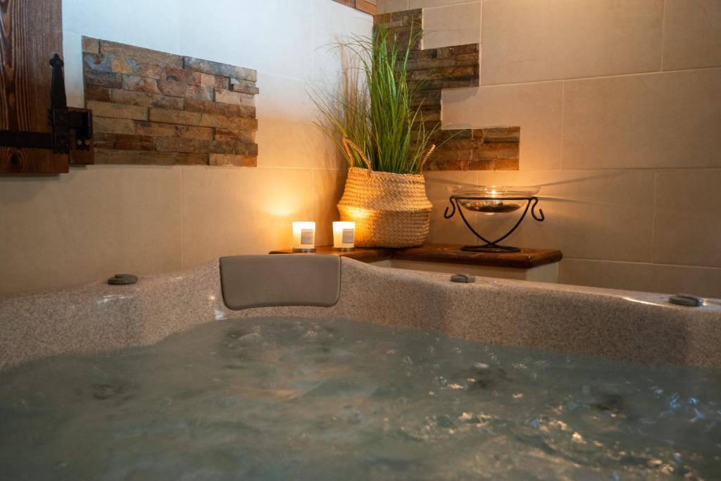 a large tub in a bathroom with a plant at Charming place - Kraków Gdów Jacuzzi in Gdów