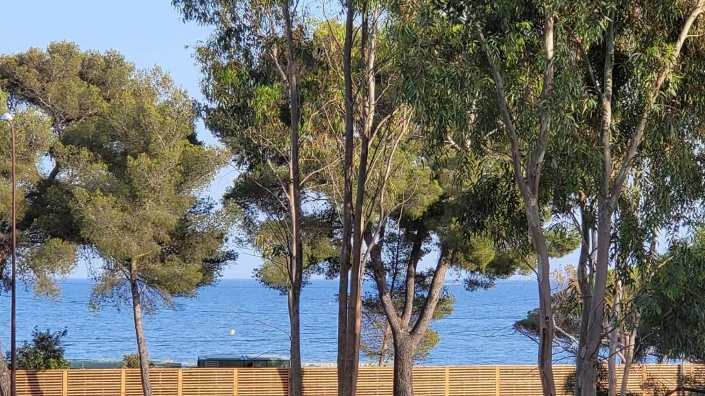 サント・マキシムにあるVilla Provençale â Sainte Maxime, Golf de Saint Tropezの水の見える木々